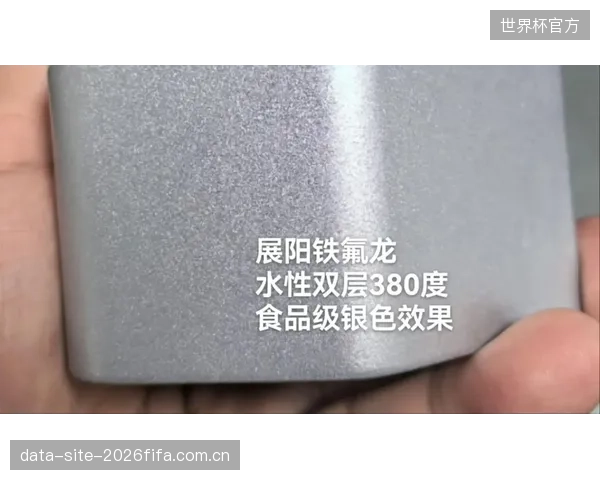 行业竞争焦点：竞争已深入到PTFE涂层技术，通过精细校准透光率与抗冲击性构筑品牌护城河